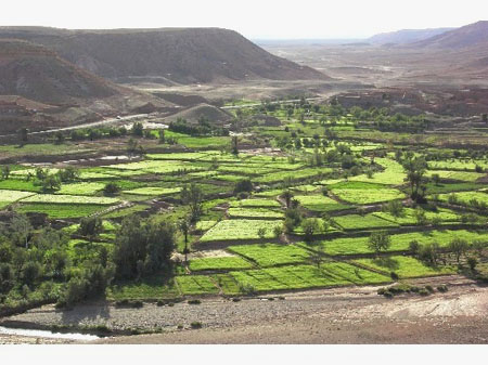 Ait_Benhadou_la_plaine