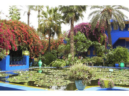 Majorelle2