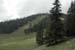Michliffen(2)