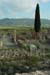 Moulay_Idriss_Volubilis(5)