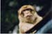 Singe1