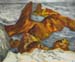 Marie_Paule(13)