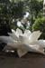 PICT2542