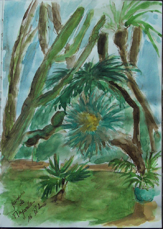 Jardin_Majorelle