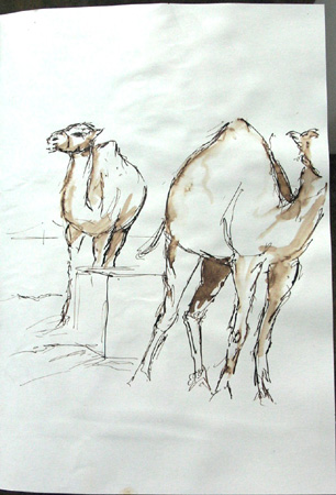 Merzouga